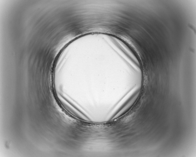 X0000101430999200807280956