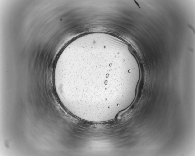 X0000101431000200807280956