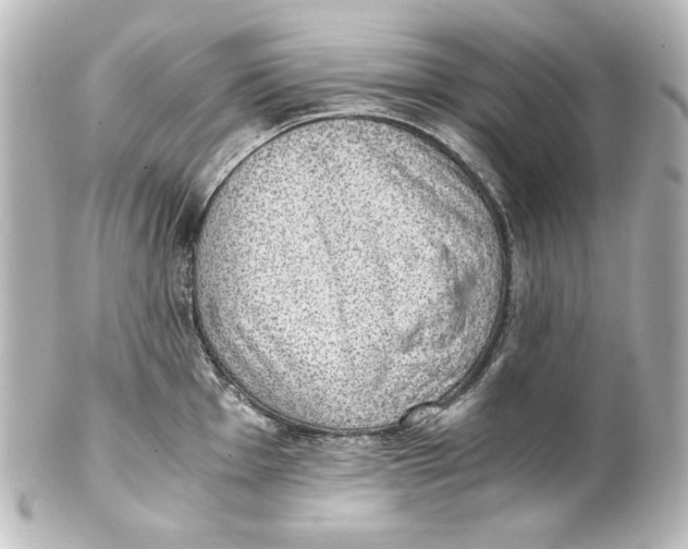 X0000101431001200807280956