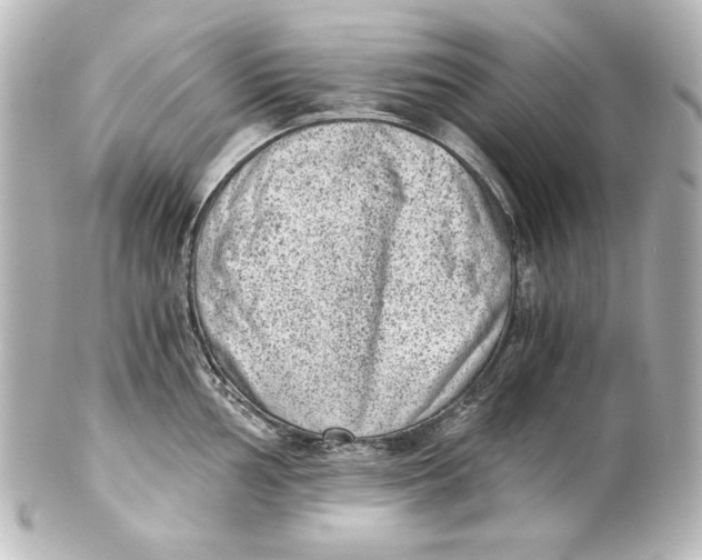 X0000101431002200807280956