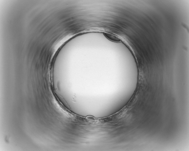 X0000101431003200807280956