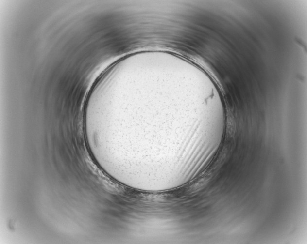 X0000101431004200807280956