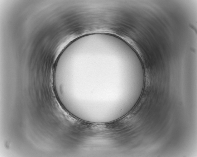 X0000101431006200807280956