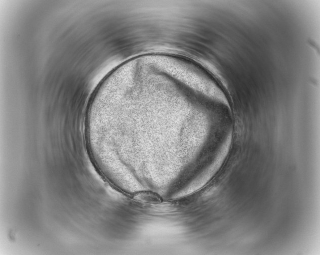 X0000101431007200807280956