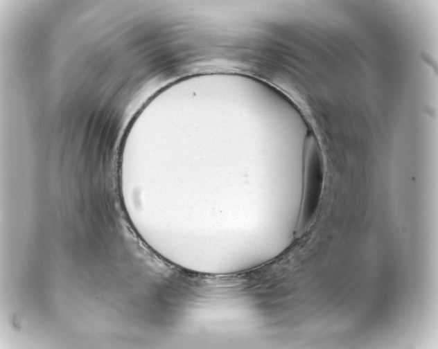 X0000101431008200807280956