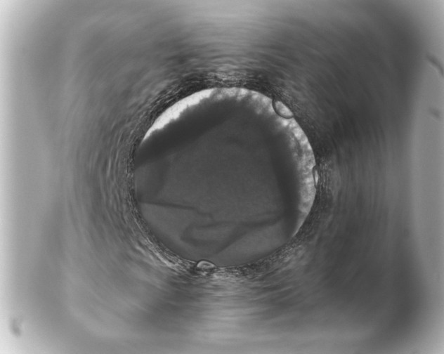 X0000101431009200807280956