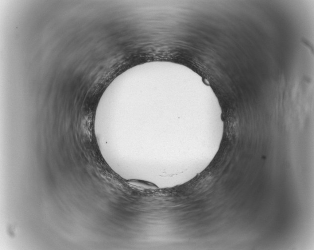 X0000101431010200807280956