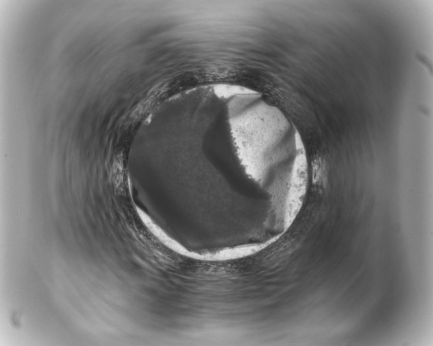 X0000101431011200807280956