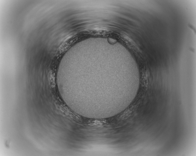 X0000101431013200807280956