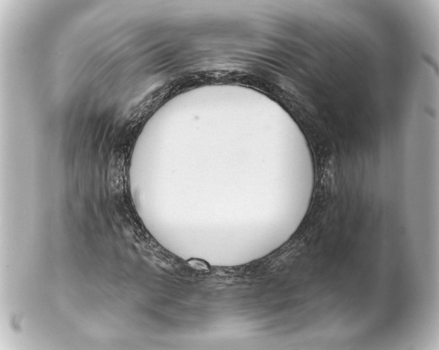 X0000101431014200807280956