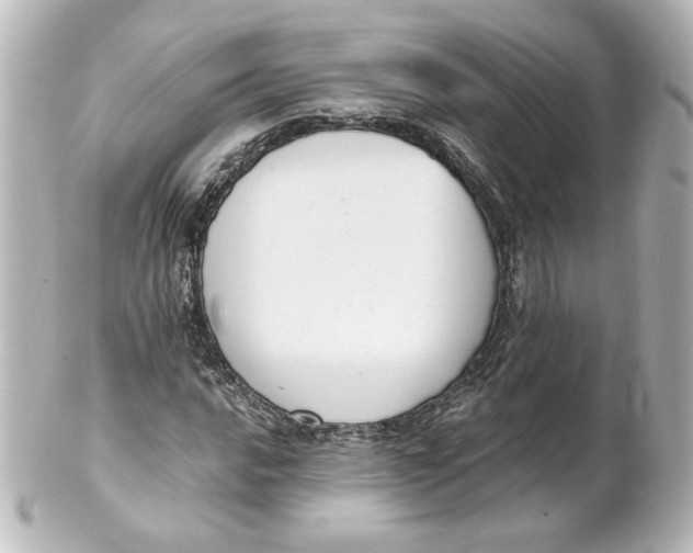 X0000101431016200807280956