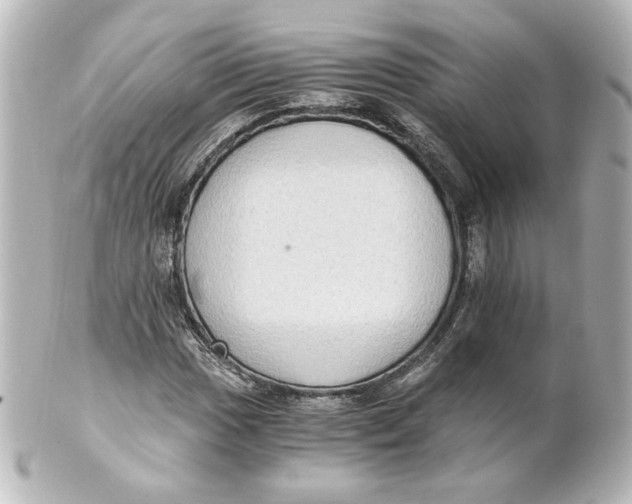 X0000101431017200807280956