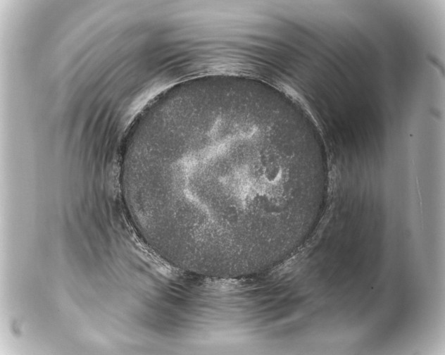 X0000101431019200807280956