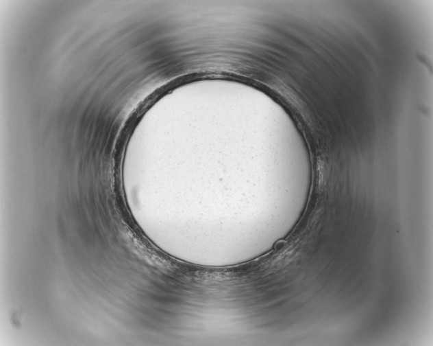 X0000101431020200807280956