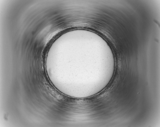 X0000101431022200807280956