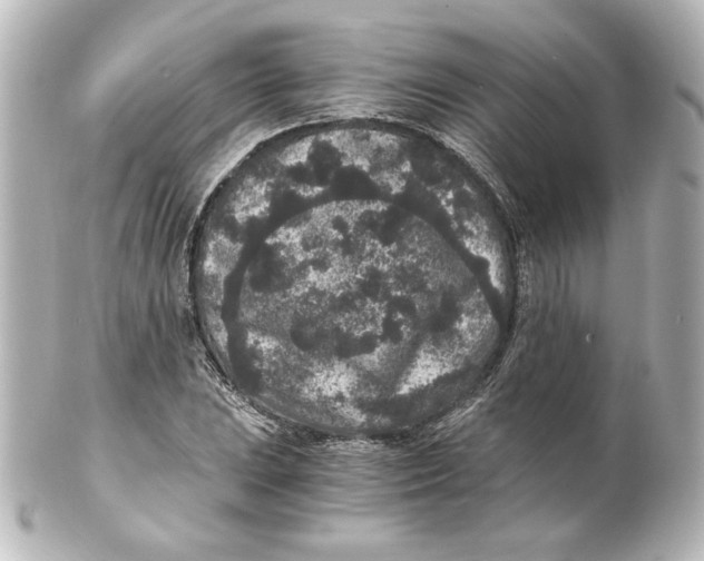 X0000101431023200807280956