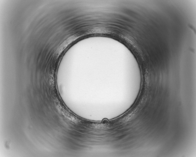 X0000101431025200807280956