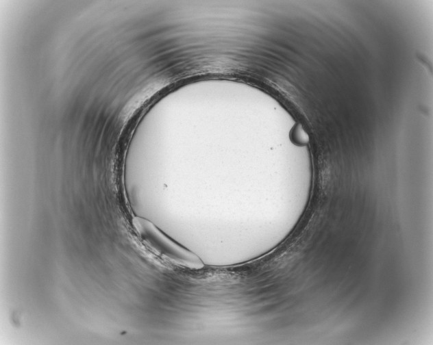 X0000101431026200807280956