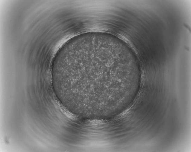 X0000101431027200807280956