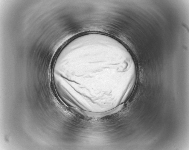 X0000101431028200807280956