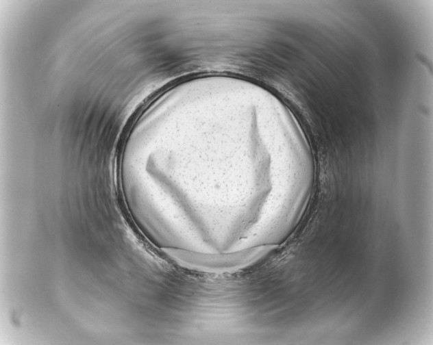 X0000101431032200807280956