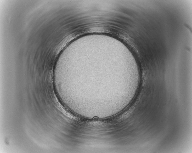 X0000101431033200807280956