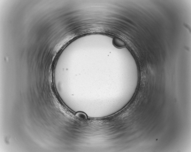 X0000101431034200807280956