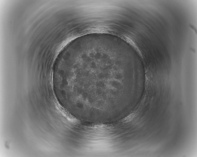 X0000101431035200807280956