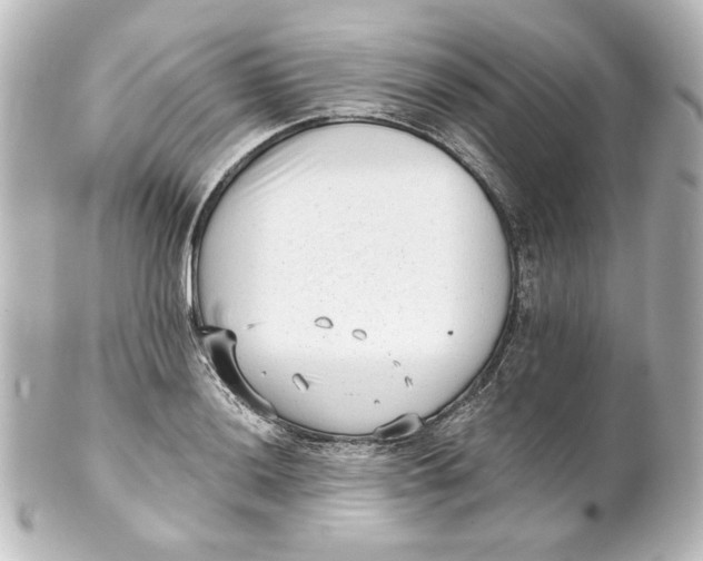 X0000101431036200807280956