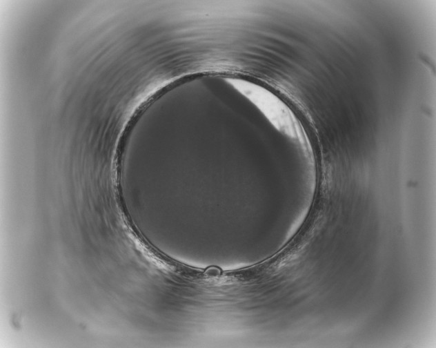 X0000101431037200807280956