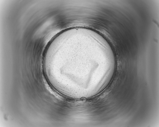 X0000101431038200807280956