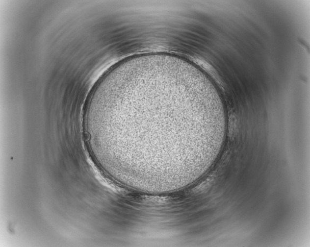 X0000101431039200807280956