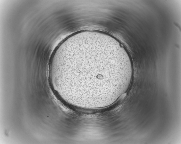 X0000101431040200807280956