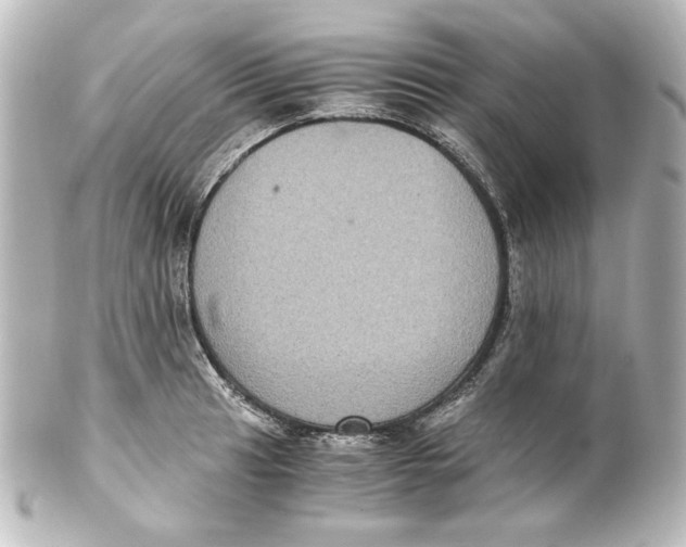 X0000101431041200807280956