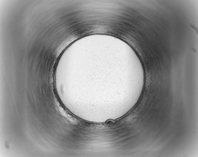 X0000101431042200807280956