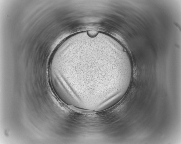 X0000101431043200807280956