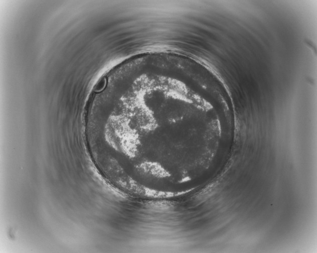 X0000101431045200807280956