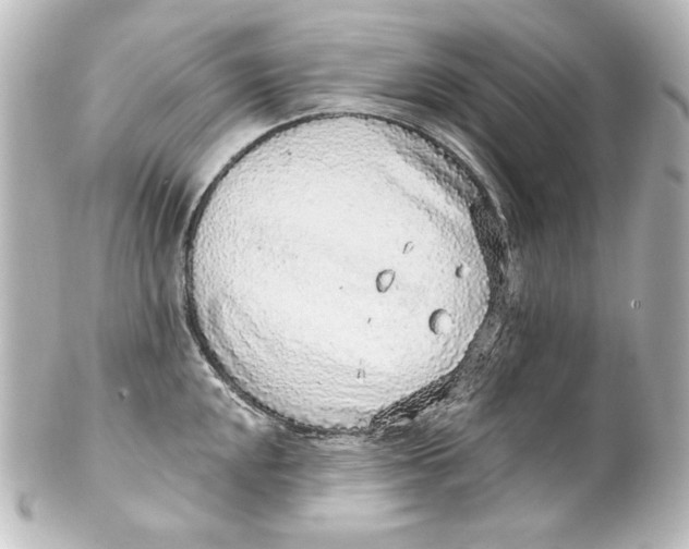 X0000101431048200807280956