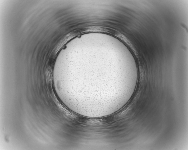 X0000101431049200807280956