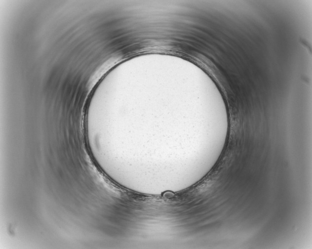 X0000101431050200807280956