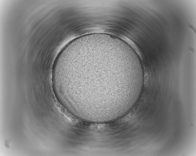 X0000101431051200807280956