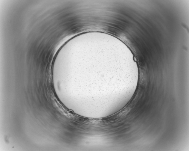 X0000101431052200807280956