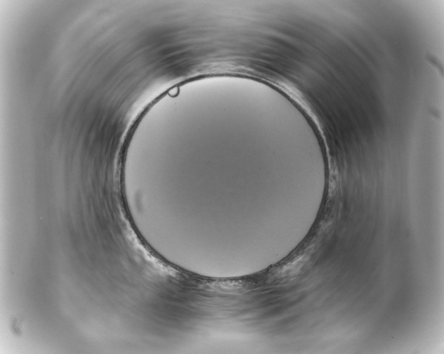 X0000101431053200807280956