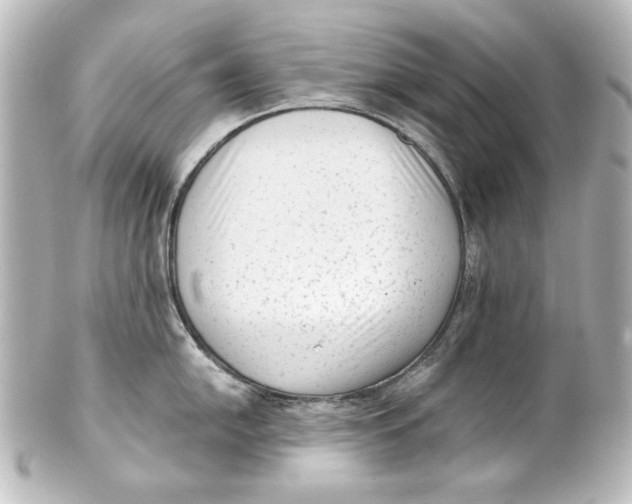 X0000101431054200807280956