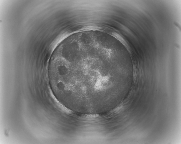 X0000101431055200807280956