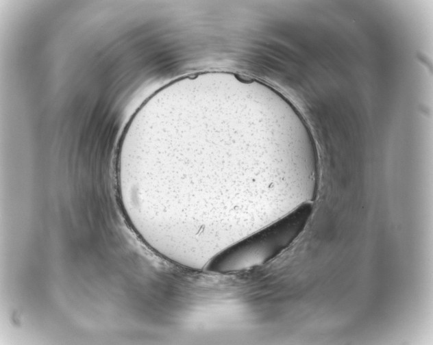 X0000101431056200807280956