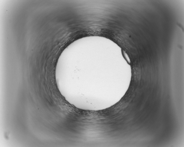 X0000101431057200807280956