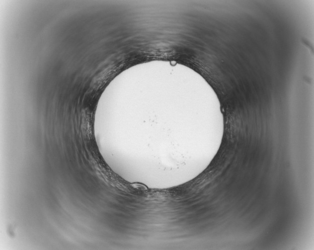 X0000101431058200807280955