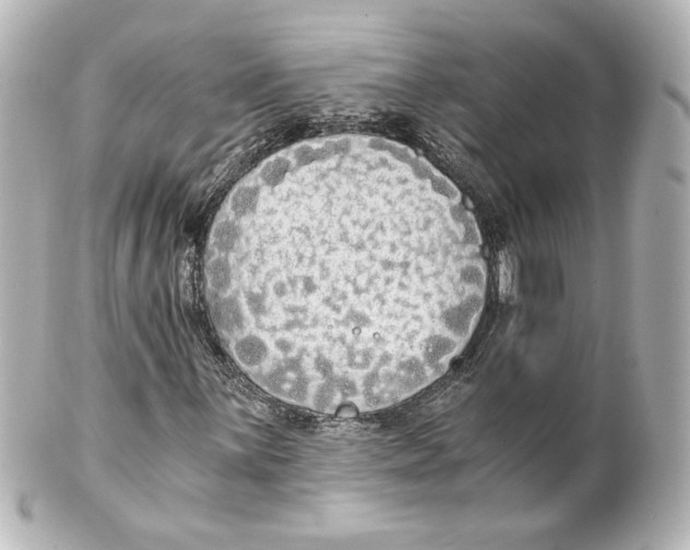 X0000101431059200807280955