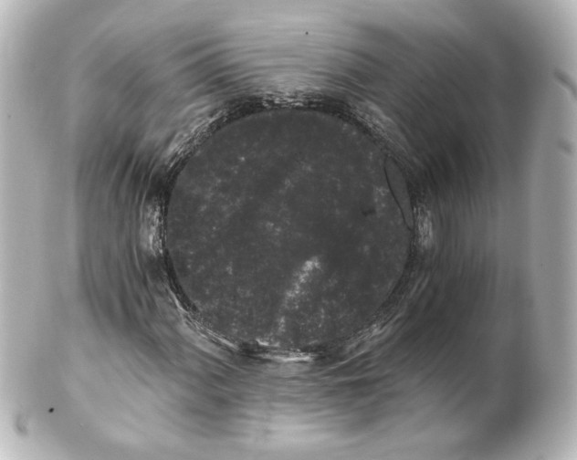 X0000101431060200807280955